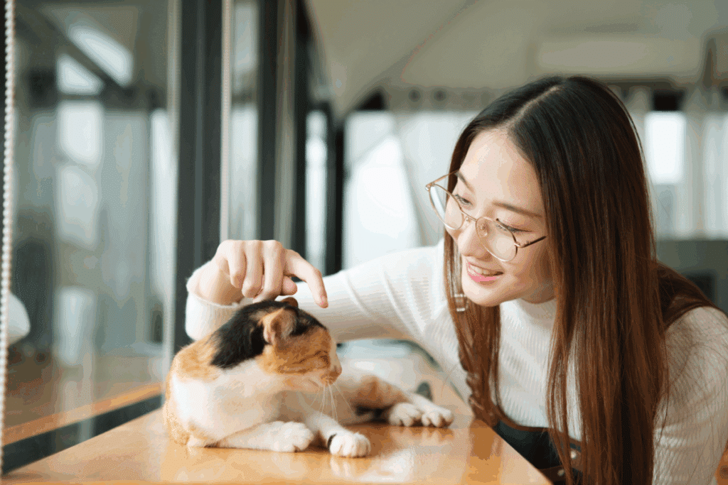 7 lições de vida que aprendemos com cães e gatos 
