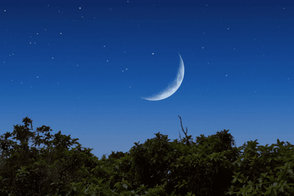 Lua hoje: veja qual é a fase lunar desta segunda-feira, 13 de julho de 2026
