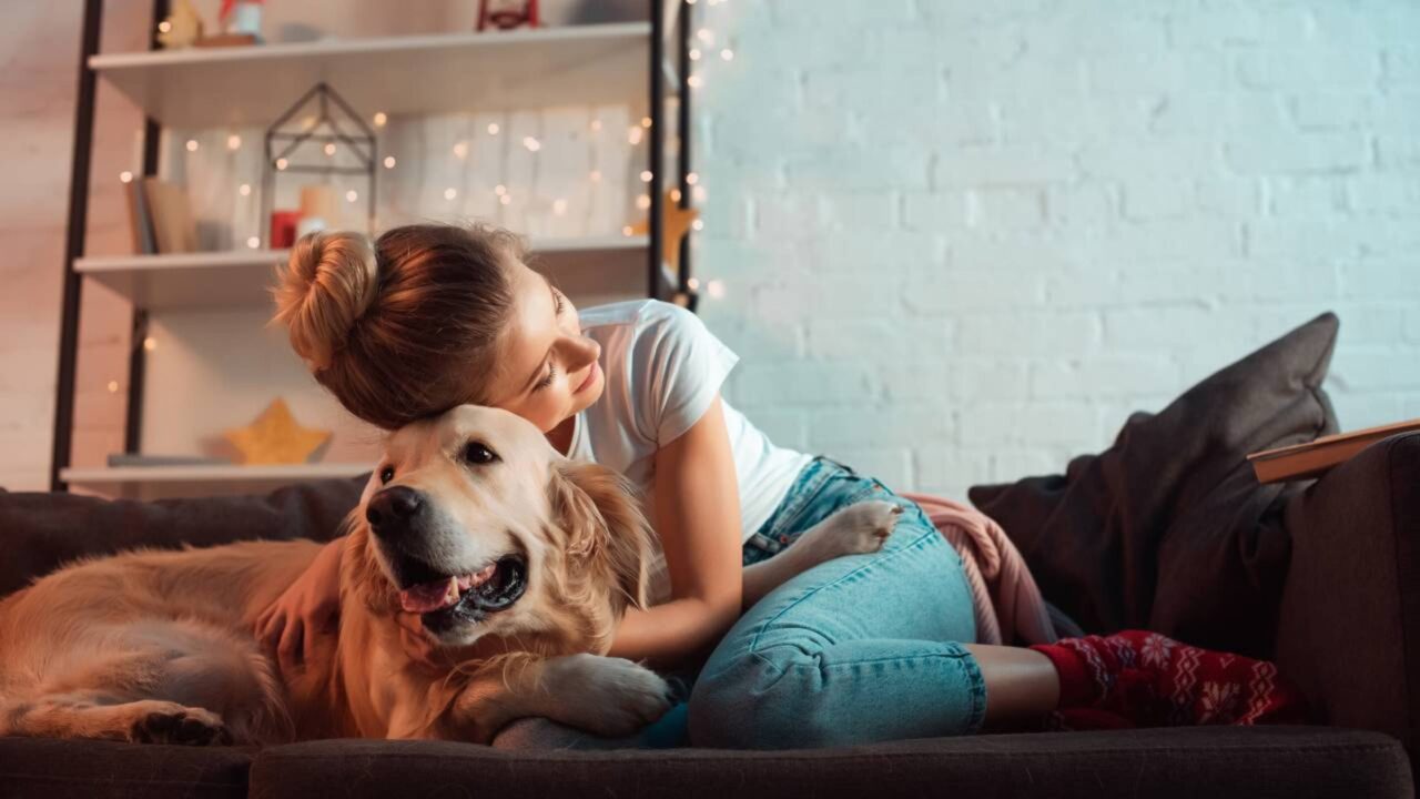 O cérebro humano parece tratar cães e filhos de maneira mais parecida do que se imaginava, segundo um estudo