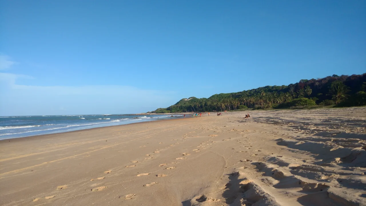 Terra do 1º ouro olímpico do surfe: a vila nordestina que guarda a maior mata atlântica sobre dunas do Brasil