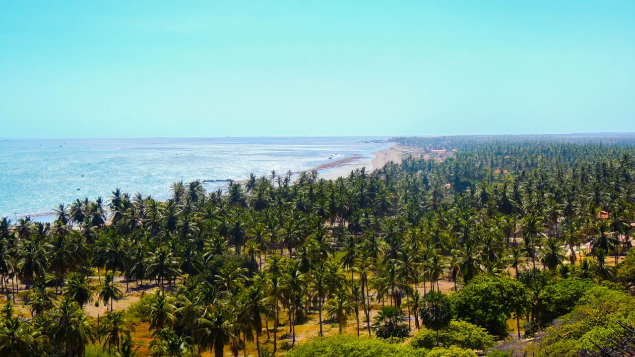 Icapuí, Ceará - Aves que voam mais de 30 mil km por ano pousam nesta praia cearense, onde o mar recua 4 km e o peixe-boi aprende a viver livre