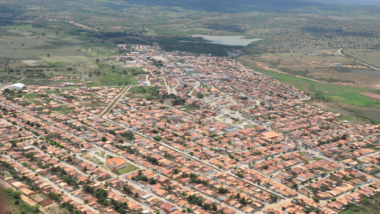 Jeremoabo guarda o último refúgio de uma espécie que ficou desaparecida por 150 anos e só foi encontrada em 1978 por um ornitólogo alemão