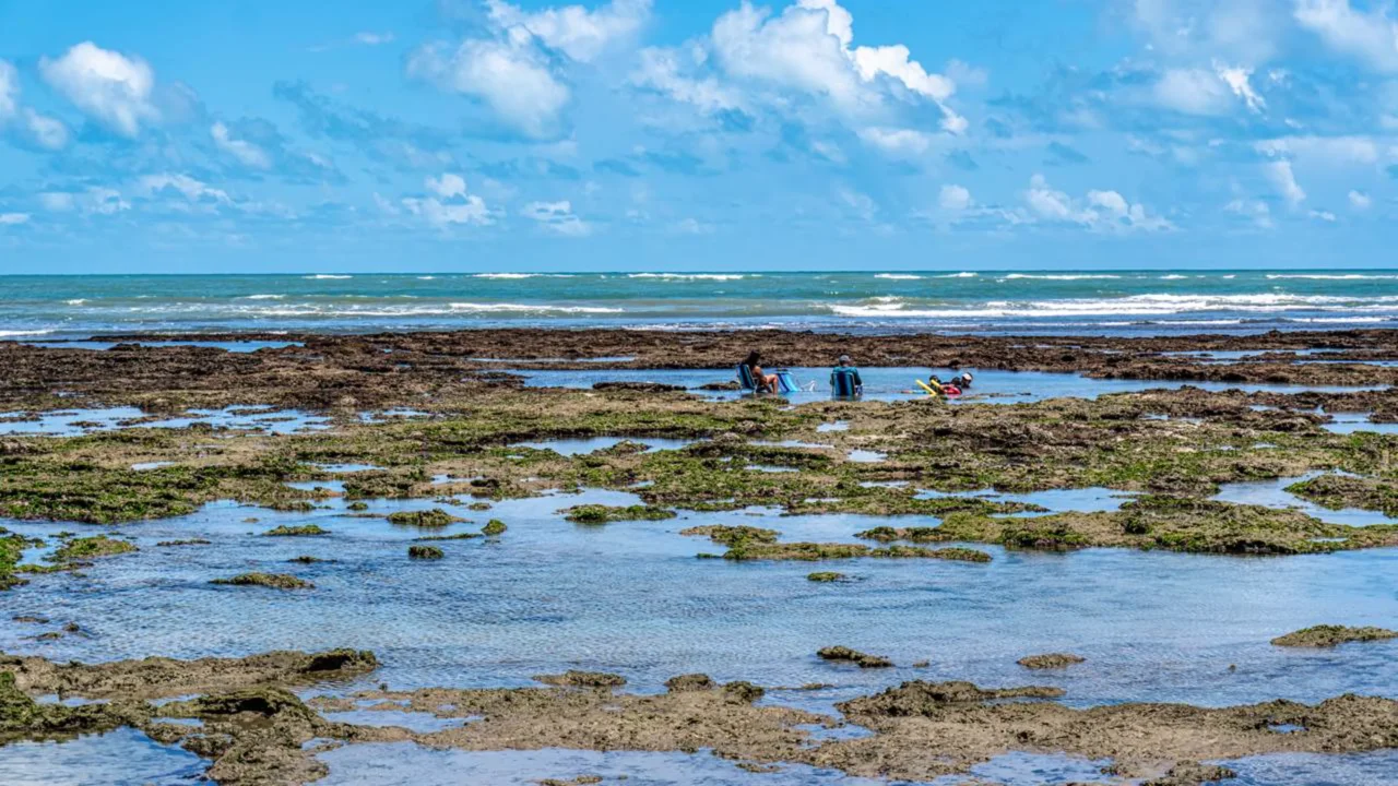 Flecheiras reúne piscinas naturais, coqueiros e águas mornas //