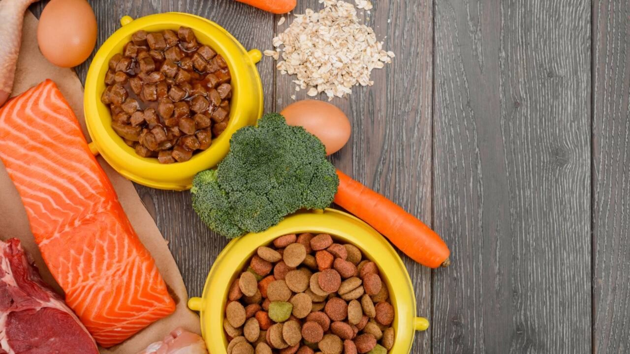 Os rins humanos filtram cerca de 180 litros de plasma por dia, e uma dieta continuamente rica em proteínas aumenta a pressão dentro de cada um de seus cerca de um milhão de néfrons