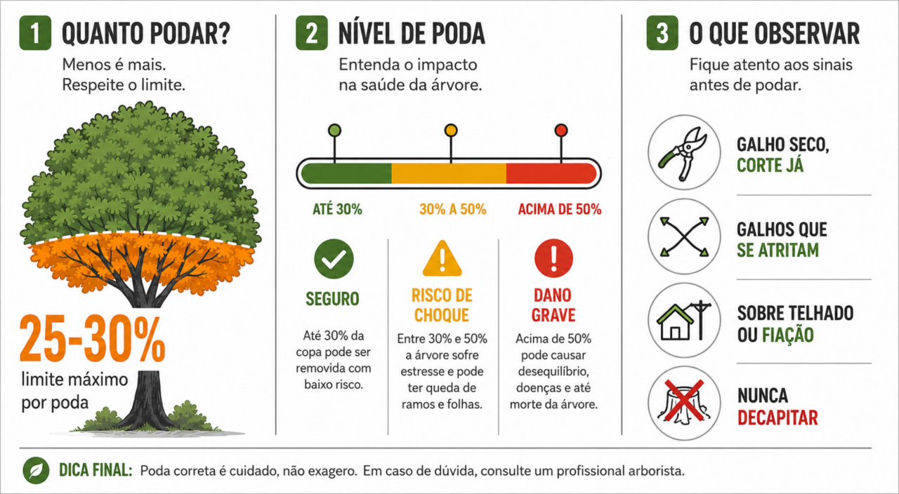 A poda de agosto: o que cortar no quintal antes da primavera para poupar telhado e fiação