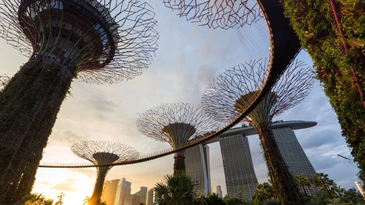 Singapura alcançou a maior cobertura vegetal entre as grandes cidades do mundo ao tratar árvores como infraestrutura essencial, mas ainda enfrenta dificuldades para repetir esse sucesso na produção de alimentos