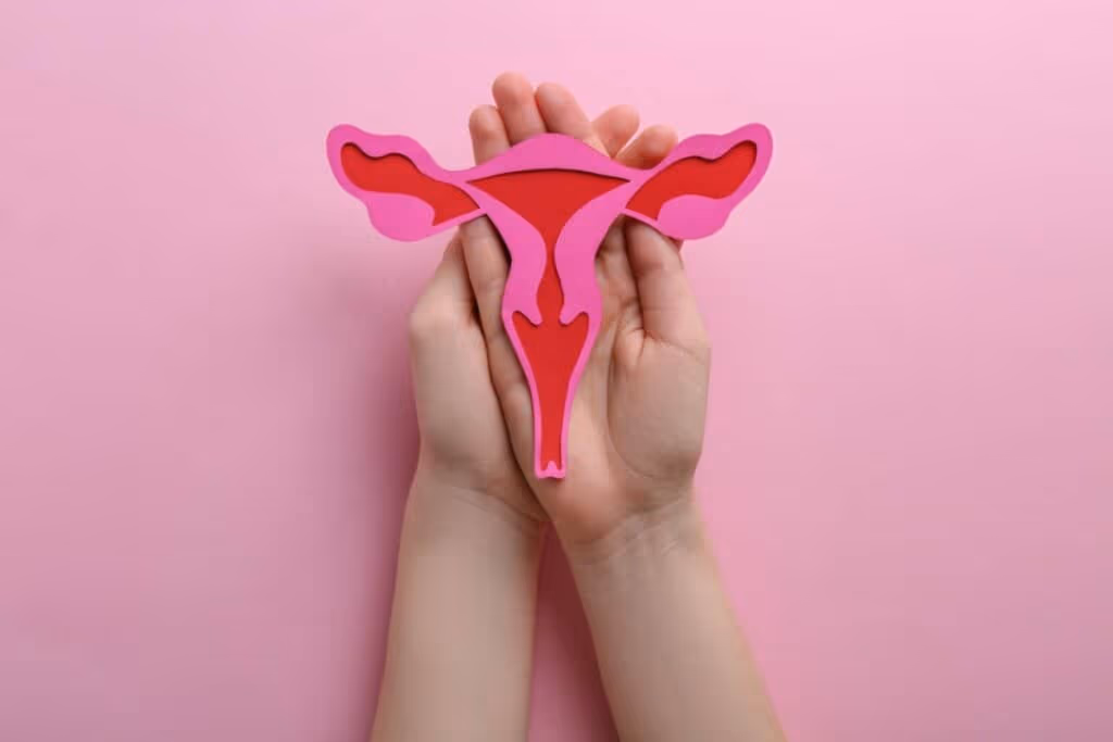 Microbiota humana: entenda como os microrganismos do corpo influenciam a saúde