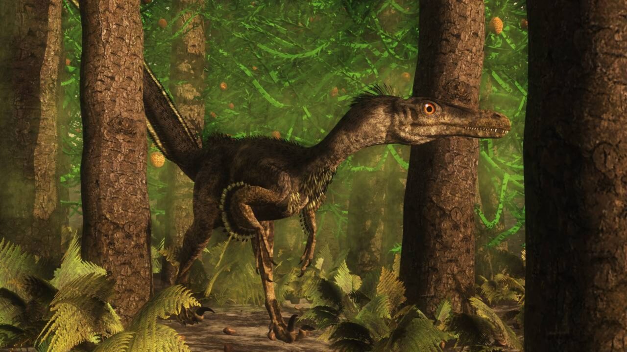 Cada pombo ou pardal é, do ponto de vista científico, um dinossauro vivo pertencente ao mesmo grupo que originou o Tiranossauro