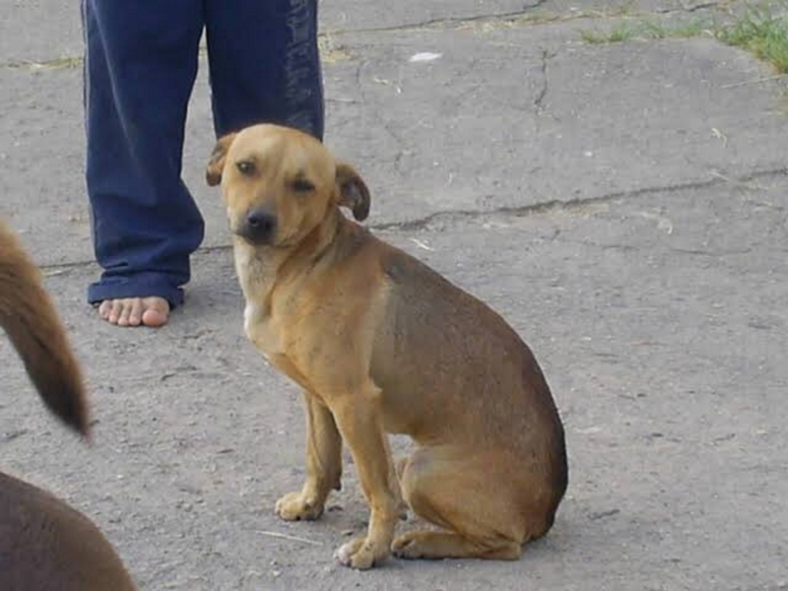 Imagem Item