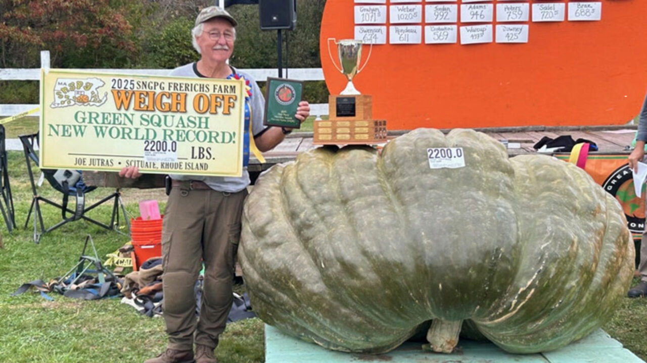 Agricultor planta abóbora-verde apenas para produzir sementes, vê fruto crescer até 22 kg por dia e colhe gigante com aproximadamente uma tonelada