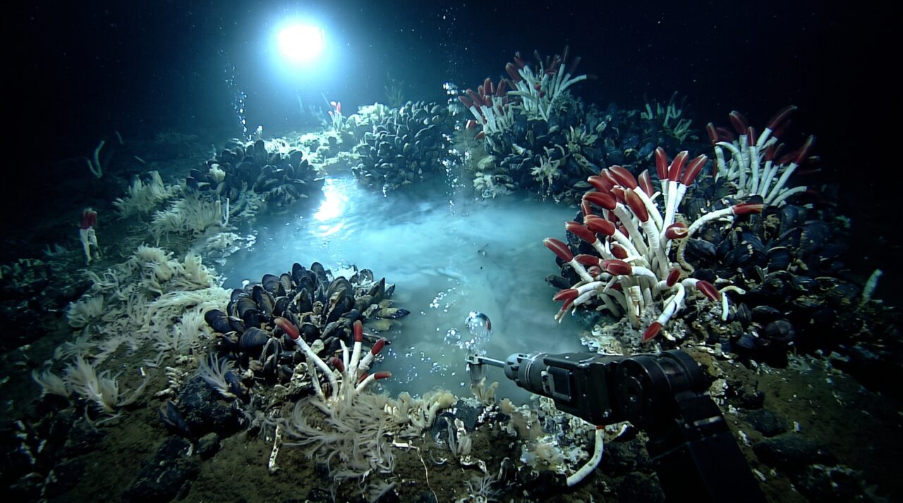 No fundo do Golfo do México existem lagos com margens e ondas mesmo estando completamente cercados pela água do oceano