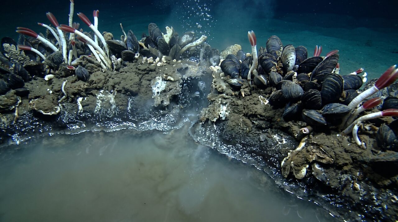 No fundo do Golfo do México existem lagos com margens e ondas mesmo estando completamente cercados pela água do oceano