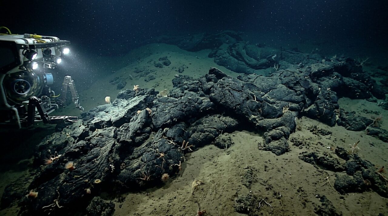 A mais de 1.200 metros de profundidade, existe um lugar onde petróleo pesado escorre para fora do fundo do mar e se transforma em asfalto