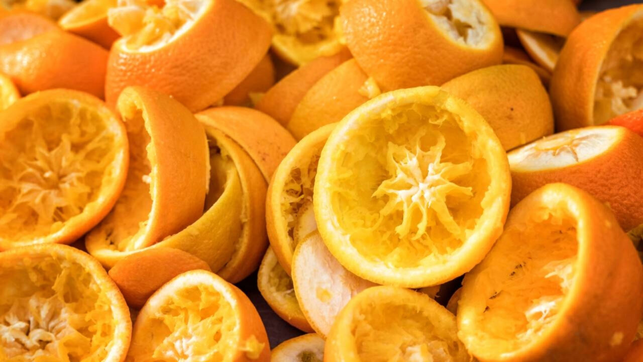 Em 1997, foram colocadas 12 mil toneladas de cascas de laranja em uma área degradada e o resultado 16 anos depois surpreendeu a ciência