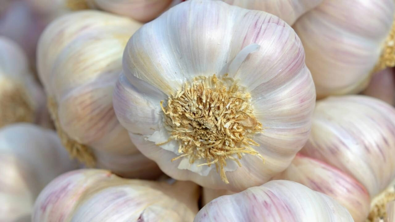Faça isso com o alho e ele vai durar para sempre Com esse método simples, ele permanecerá aromático por dois anos