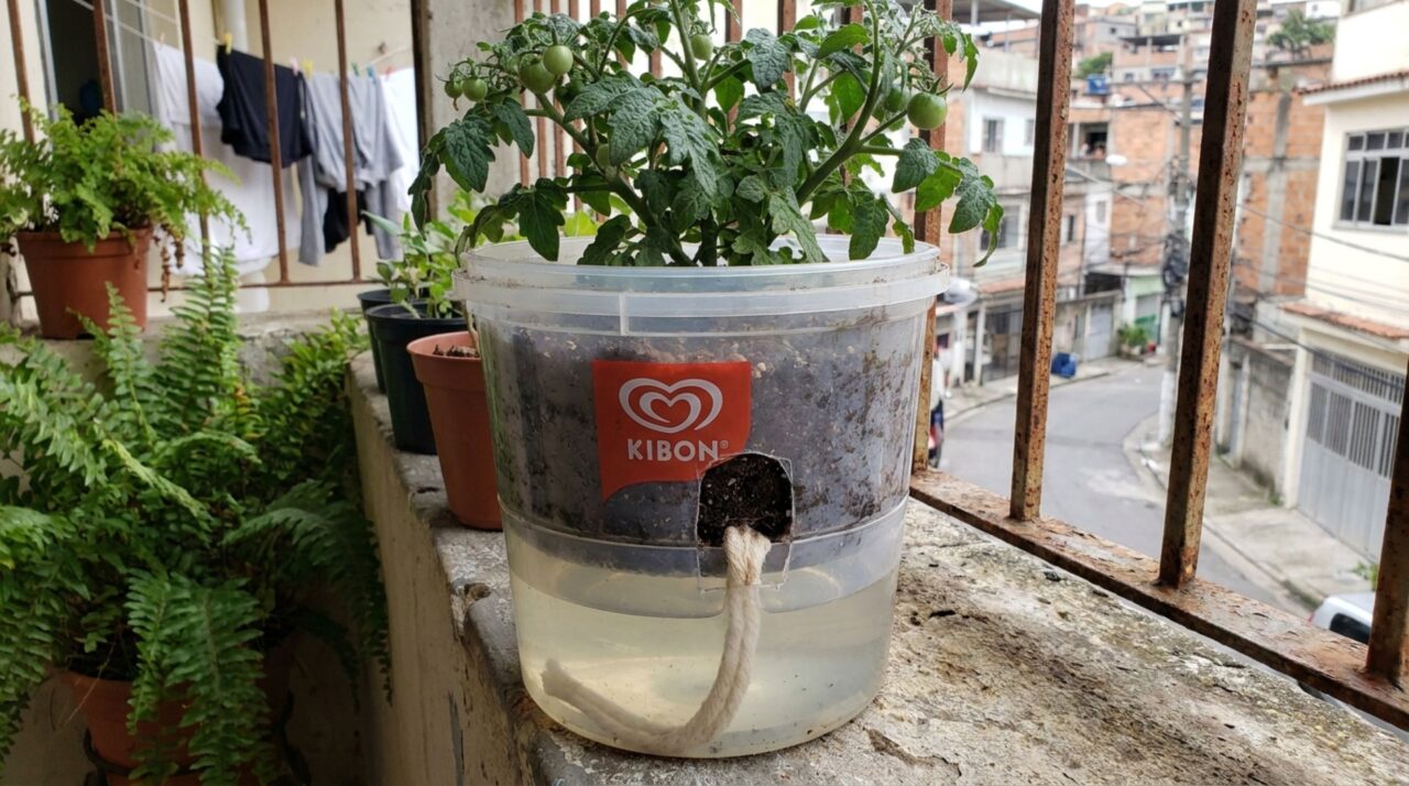 Como transformei potes de sorvete em jardineiras autoirrigáveis com aparência de vasos sofisticados