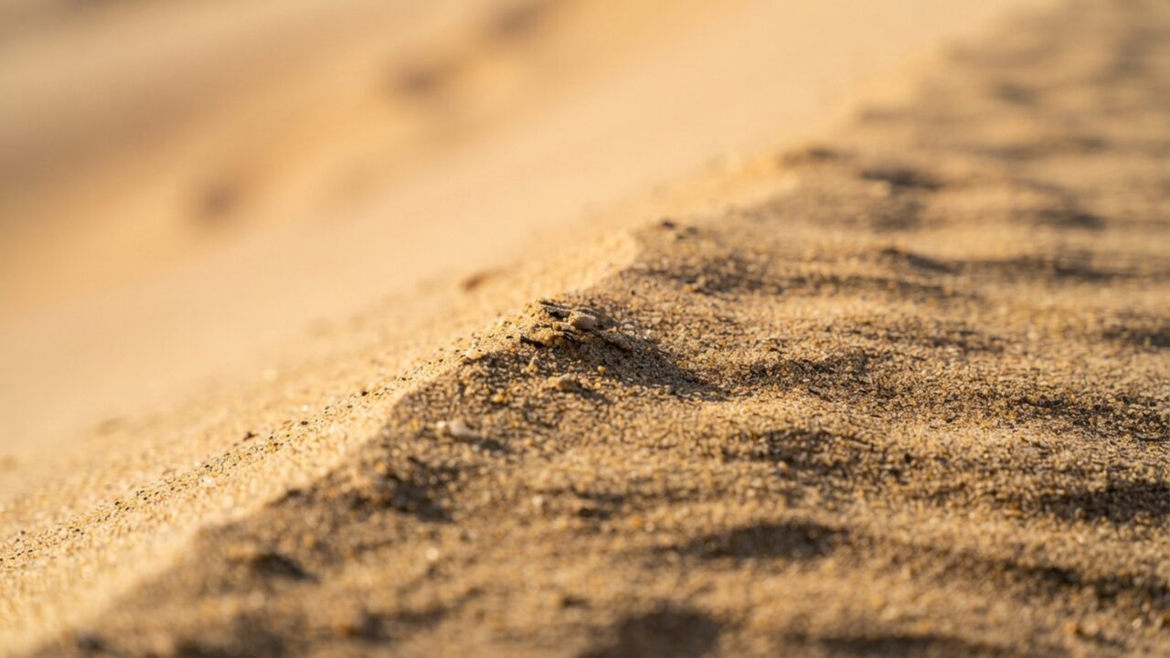 Dunas de 226 metros continuam se movendo diante de montanhas nevadas porque vento, areia e riachos trabalham juntos no mesmo vale