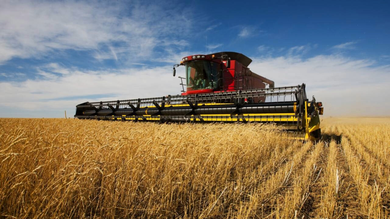 Um vizinho pede para sancionar um agricultor por barulho à noite e a resposta do prefeito esquenta os ânimos