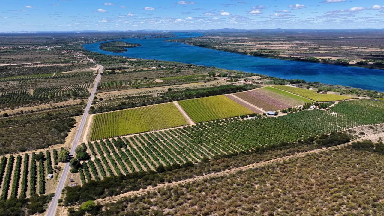 Juazeiro reúne o Rio São Francisco, plantações irrigadas e paisagens do Sertão //