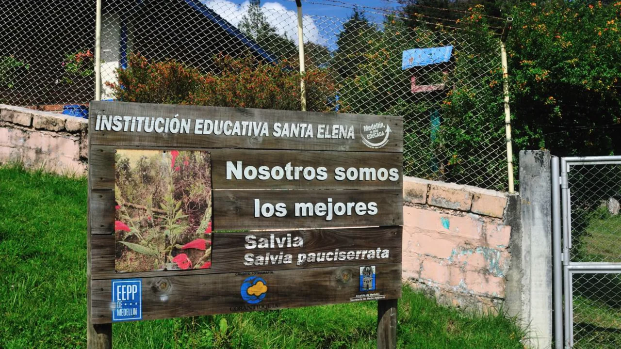 Flores de até 70 quilos descem das montanhas e transformam Medellín em uma das festas mais coloridas da América Latina