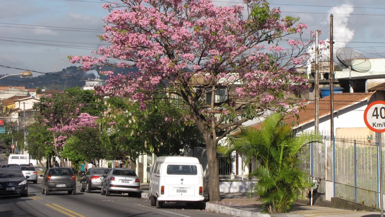 Volta Redonda oferece parques, serviços e áreas de lazer //