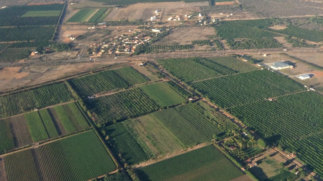 Petrolina reúne vinhedos, áreas irrigadas e paisagens do sertão // Créditos: Wikipedia / Wikimedia Commons