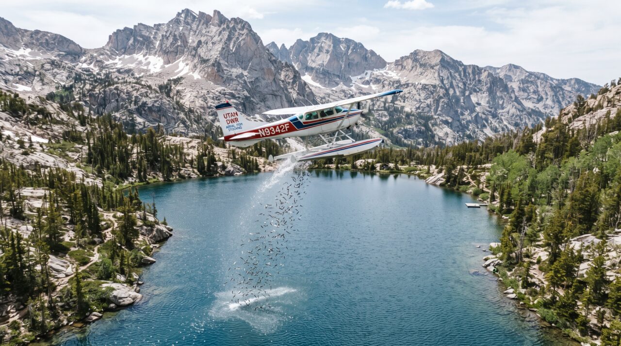 Repovoamento aéreo de peixes nos lagos de Utah