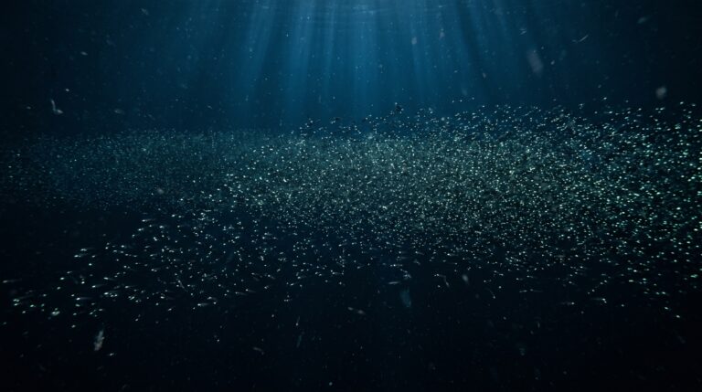 O peixe mais numeroso do planeta pode viver onde quase ninguém vê e formar uma população estimada em escala de quatrilhões