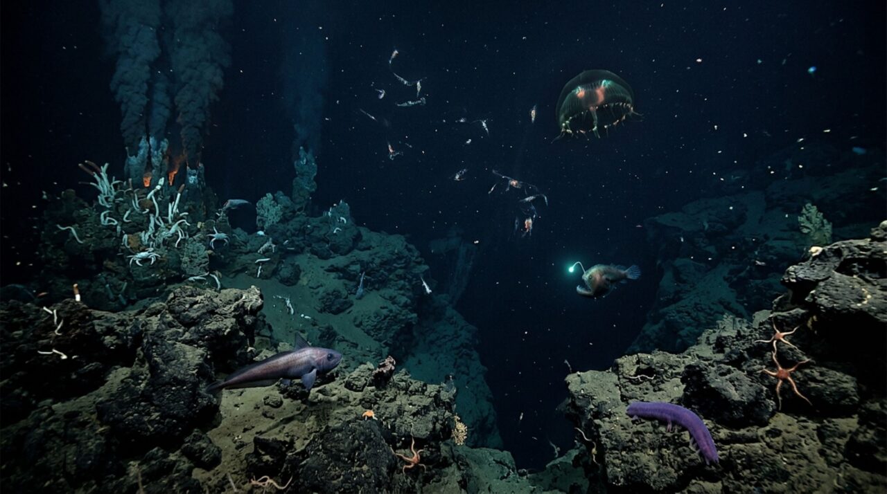 Quatro mistérios do fundo do mar que a ciência ainda tenta compreender mesmo depois de décadas explorando os oceanos