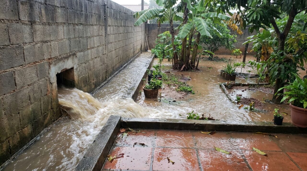 Vizinho instala canaleta junto ao muro para secar seu quintal e moradora descobre que toda a água termina dentro de seu jardim