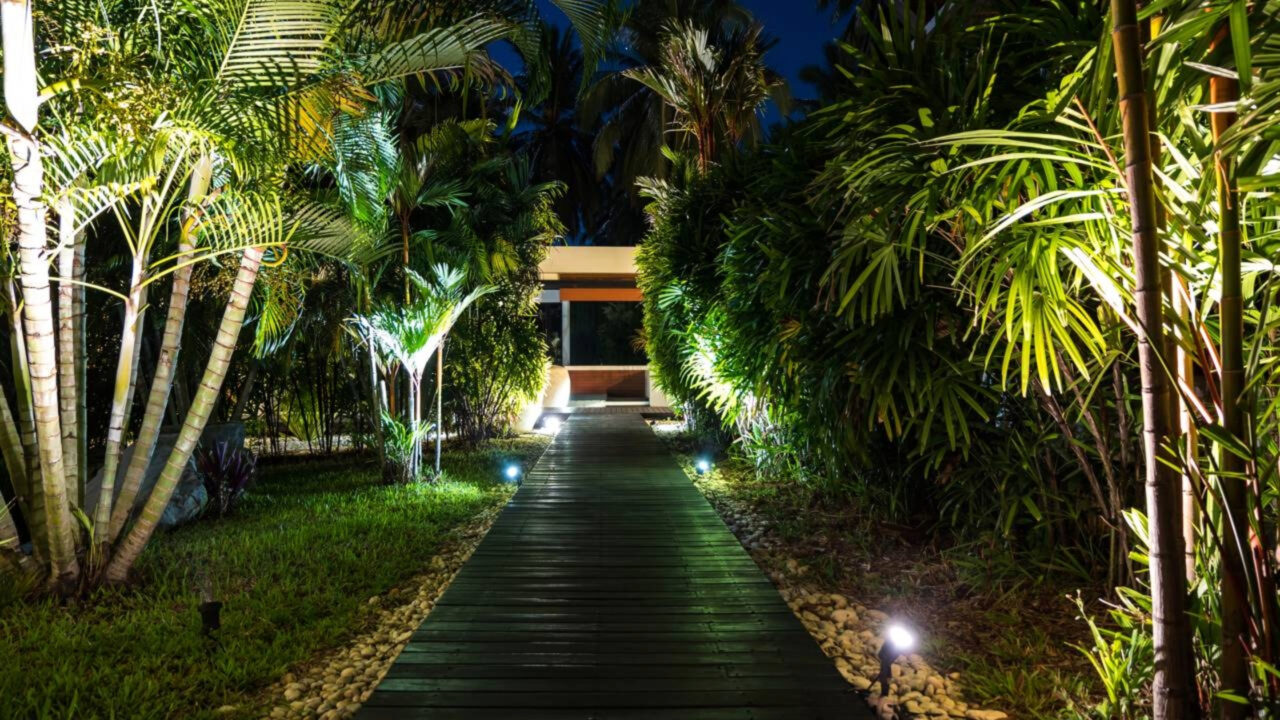 Essa luz que parece inofensiva pode estar prejudicando seu jardim durante a noite