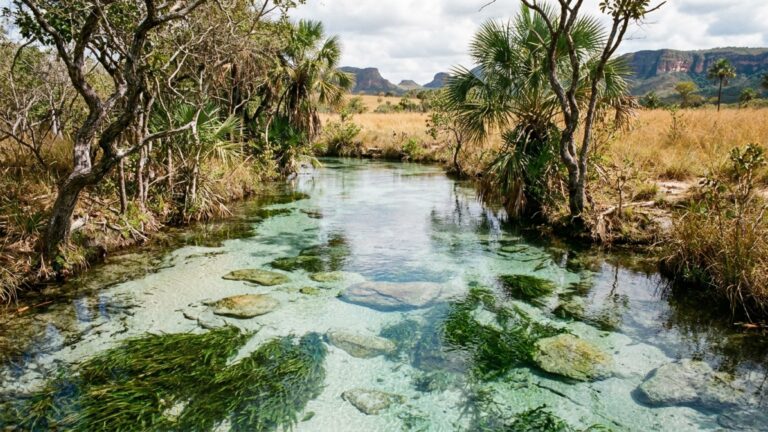 Jalapão se destaca pelos fervedouros e pelas paisagens naturais // IMAGEM ILUSTRATIVA