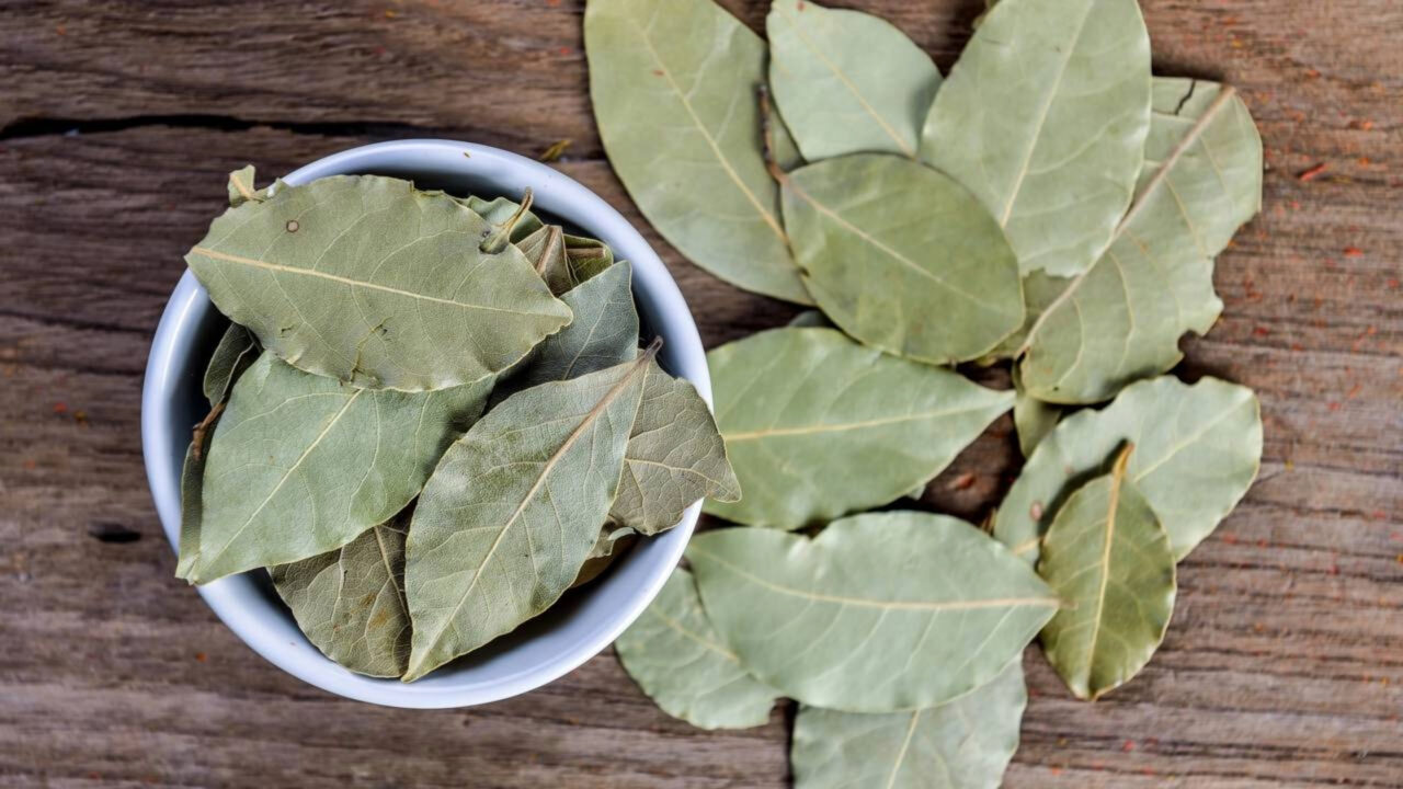 Ferver folhas de louro com meio copo de vinagre branco Para que serve e por que é recomendado