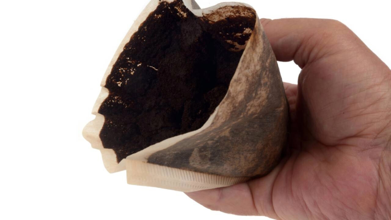 Jogar café usado no vaso sanitário para que serve, por que é recomendado por tantos especialistas e quais são os benefícios
