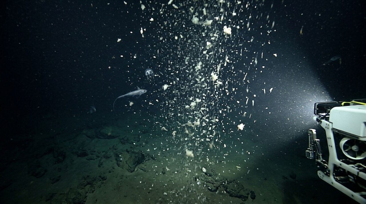 Existe uma espécie de neve caindo continuamente dentro do oceano, e parte dela consegue atravessar 4.000 metros de água em apenas uma semana