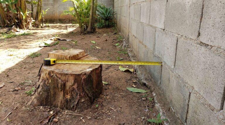 Família retorna do fim de semana e encontra árvores que faziam sombra no quintal cortadas para levantar novo muro, ela questiona reposição e indenização