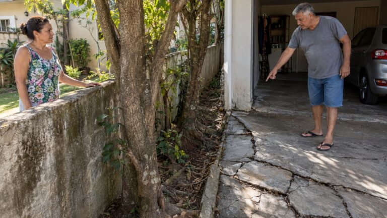 Moradora planta árvores junto ao muro para fazer sombra e, anos depois, vizinho cobra reparo após raízes começarem a levantar o piso de sua garagem