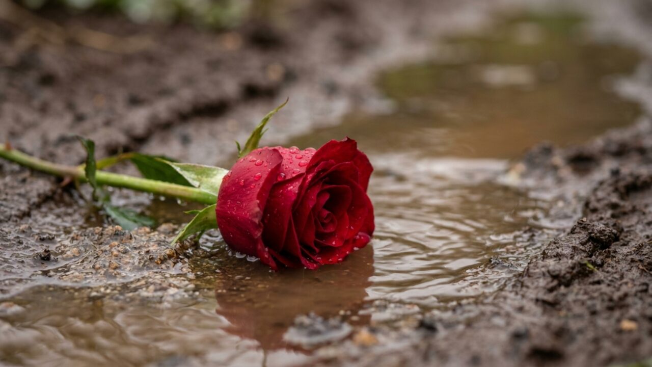 Um lago do Quênia cresceu tanto que água avançou sobre fazendas e infraestrutura numa região que abastece o mercado mundial de flores