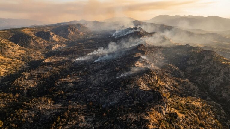 Um incêndio queimou cerca de 390 km² em Utah e deixou uma cicatriz marrom tão grande que satélites conseguiram compará-la diretamente com a paisagem de semanas antes