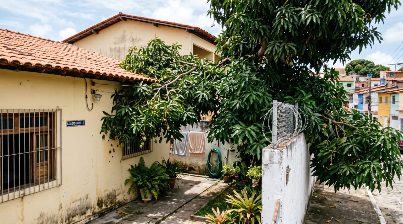 Morador de casa notifica vizinho de que os galhos da sua mangueira estão invadindo o telhado e entupindo calhas, vizinho se recusa a podar e morador descobre no código civil que tem o direito de cortar os galhos que ultrapassam o muro