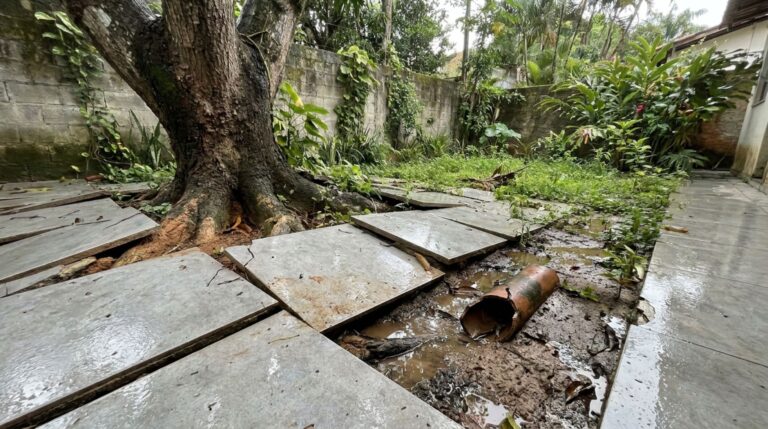 Morador fecha o jardim com porcelanato e, meses depois, raízes sufocadas levantam o piso e rompem a tubulação de drenagem