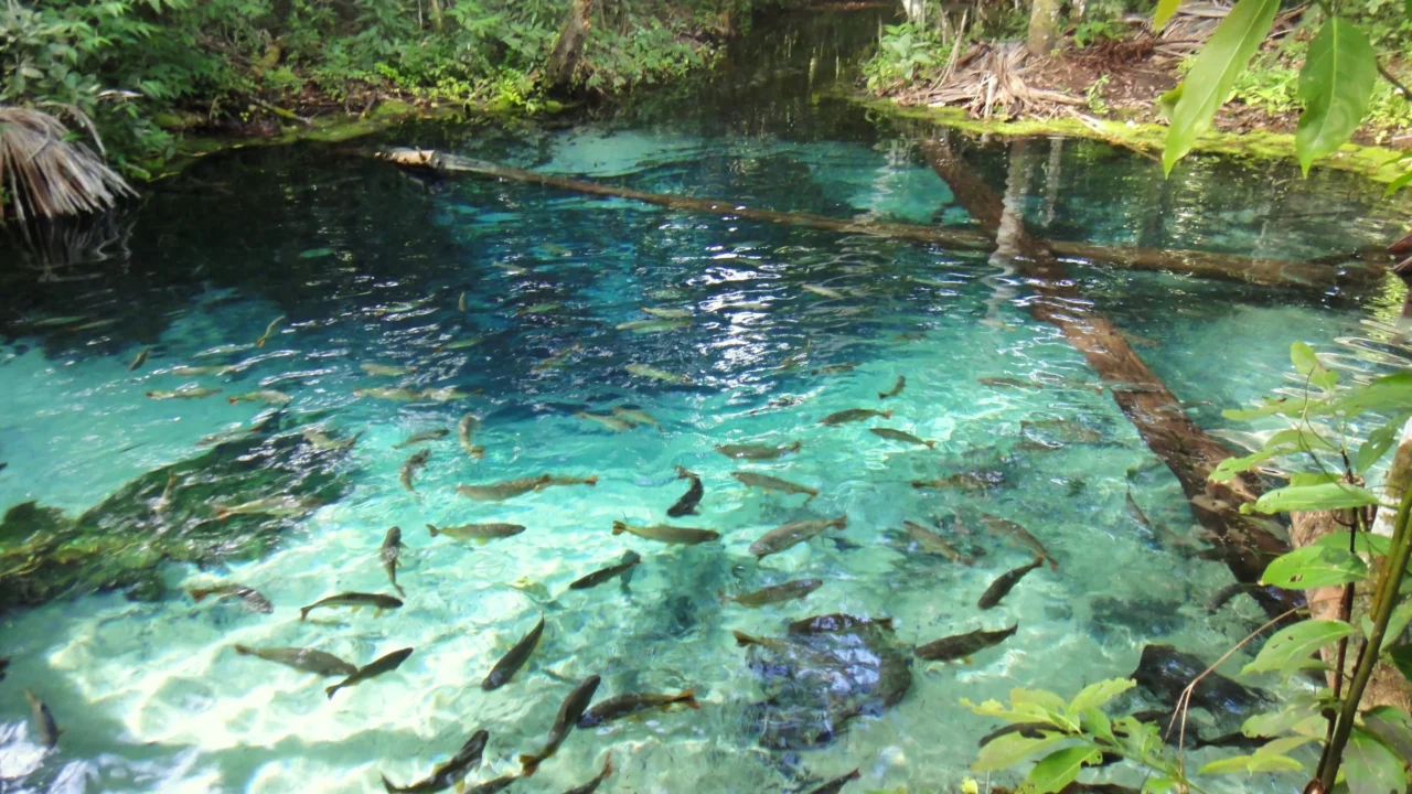 Nobres chama atenção pelas águas transparentes e pela natureza //