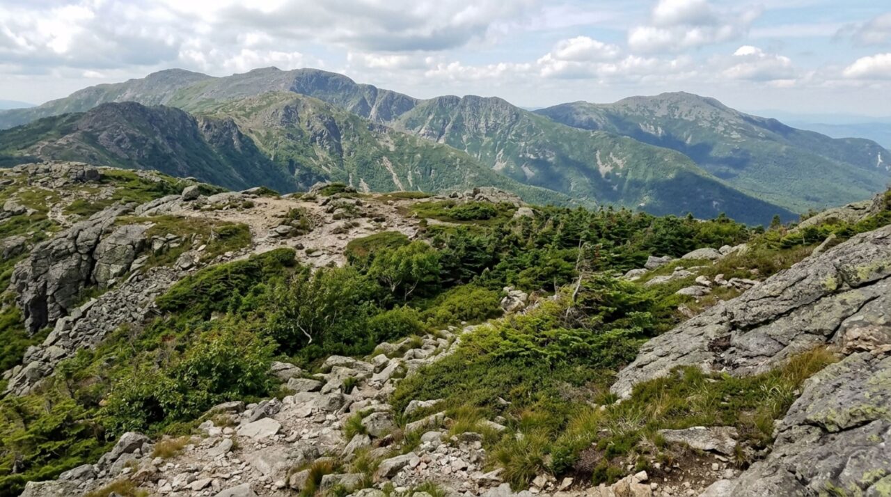 Montanhas do nordeste dos Estados Unidos e Canadá estão ficando mais verdes e imagens de longo prazo mostram a vegetação subindo para áreas alpinas