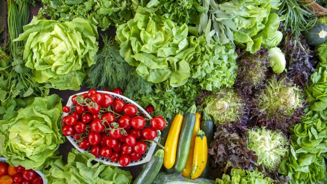As 3 verduras podem ser plantadas em outubro crescem rápido e podem ser colhidos durante a primavera e o verão