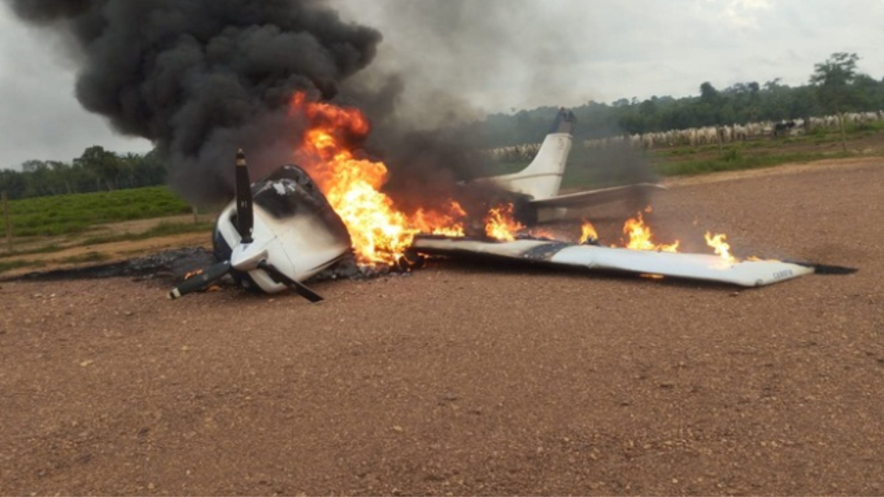 Caça A-29 Super Tucano da FAB intercepta aeronave suspeita que vinha da Bolívia