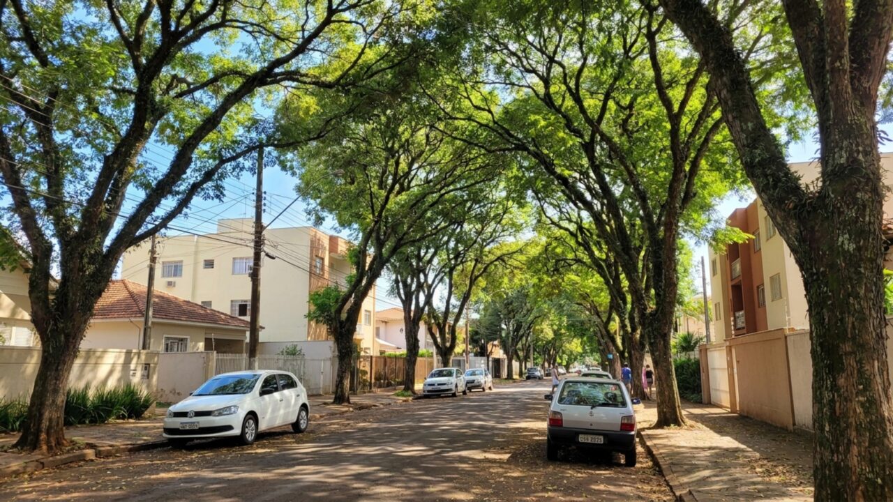 Qualidade de vida acima da cidade de São Paulo e 97% dos moradores em ruas com árvores: o município paranaense que virou referência em verde urbano