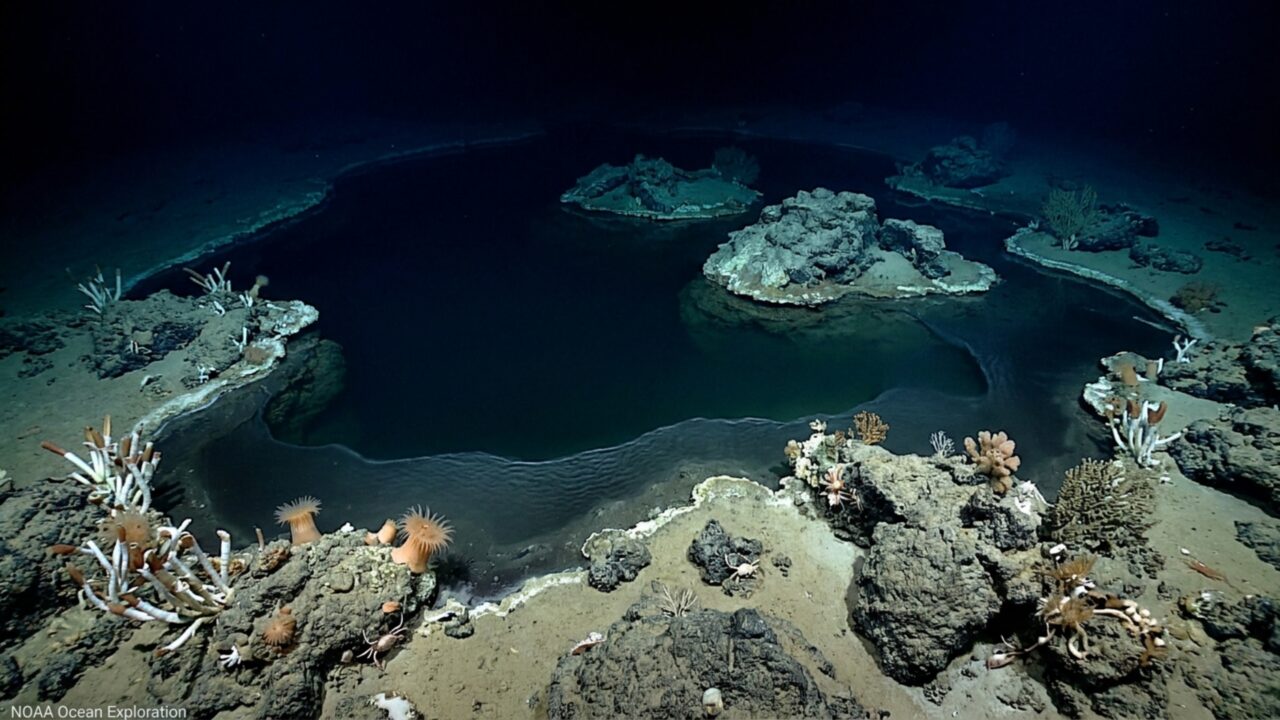 A 1.260 metros de profundidade, pesquisadores encontraram um “lago” com ilhas no fundo do oceano