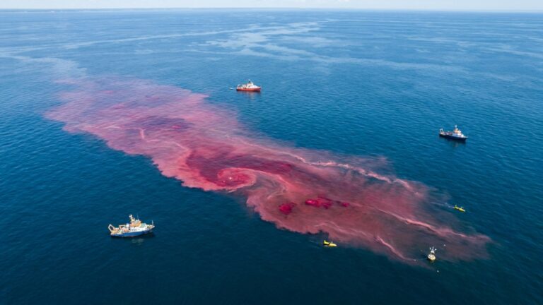 Cientistas despejaram milhares de litros de soda cáustica no mar em teste inédito contra a acidez dos oceanos