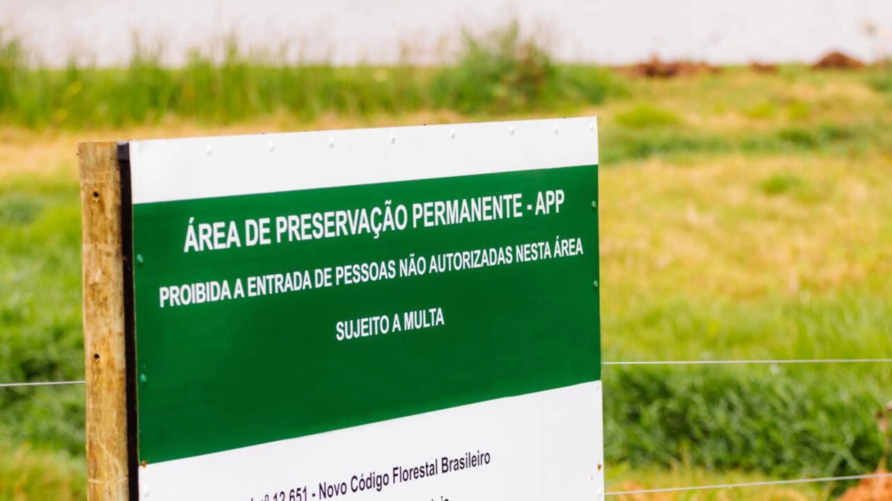Família compra terreno à beira do rio para construir casa de lazer e descobre que a faixa que mais queria usar é área de preservação permanente