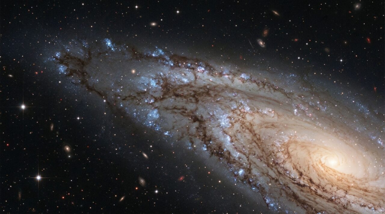 Regiões de estrelas jovens e faixas de poeira destacam a estrutura assimétrica do braço externo da NGC 772